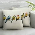 thumbnail image 3 of PRATYUS  Watercolor Birds Pillows Decorative Throw Pillows,Hand-Painted Oil Painting Rustic Birds Square Pillow Cases,Cute Colorful Spring Summer Decorations for Home Couch 18x18in, 3 of 5