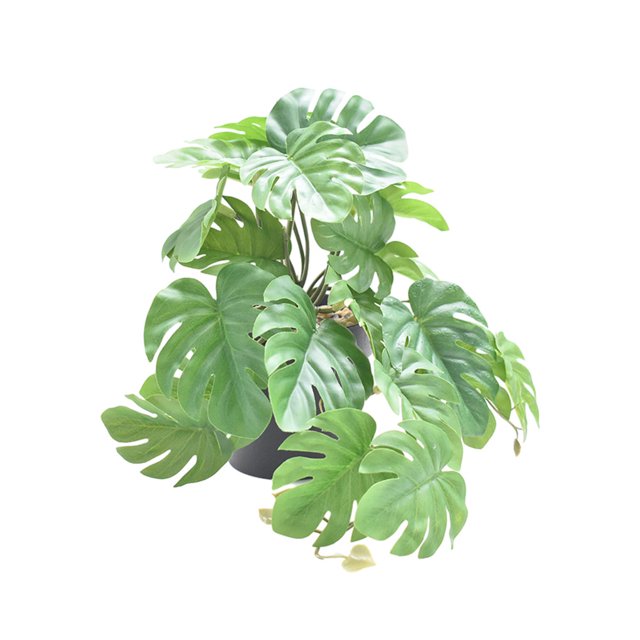 Inteprter Plantas artificiales ecológicas para hábitats de reptiles - Plantas no tóxicas fáciles de limpiar Carey artificial Type3 NO3