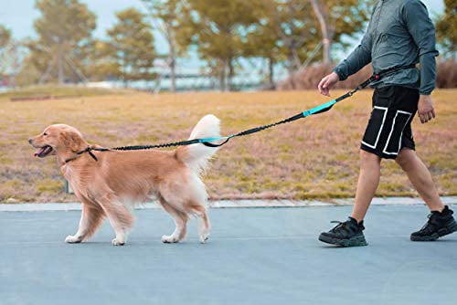 iYoShop Hands Free Dog Leash with Zipper Pouch, Dual Padded Handles and Durable Bungee for Walking, Jogging and Running Your Dog (Large, 25-120 lbs, Emerald)