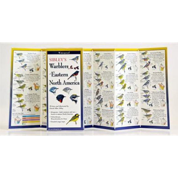 Pre-Owned Sibley's Warblers of Eastern North America (Misc.) 1935380559 9781935380559