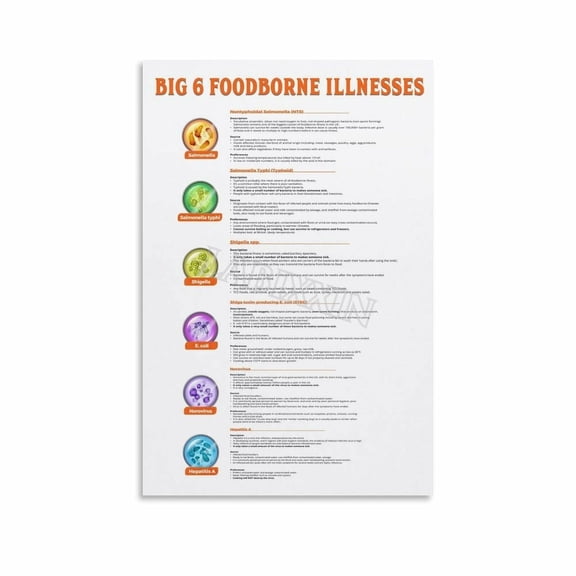 Big 6 Foodborne Illnesses Poster Food Safety Health Wall Art (4) Canvas Painting for Living Room Bedroom Decor