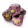 thumbnail image 3 of Everwilde Farms - 1 oz Purple Beauty Sweet Pepper Seeds - Gold Vault Bulk Seed Packet, 3 of 3