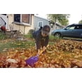 thumbnail image 4 of Spielstabil Sturdy Children's Leaf Rake (Made in Germany) 2.5 and up, 4 of 4