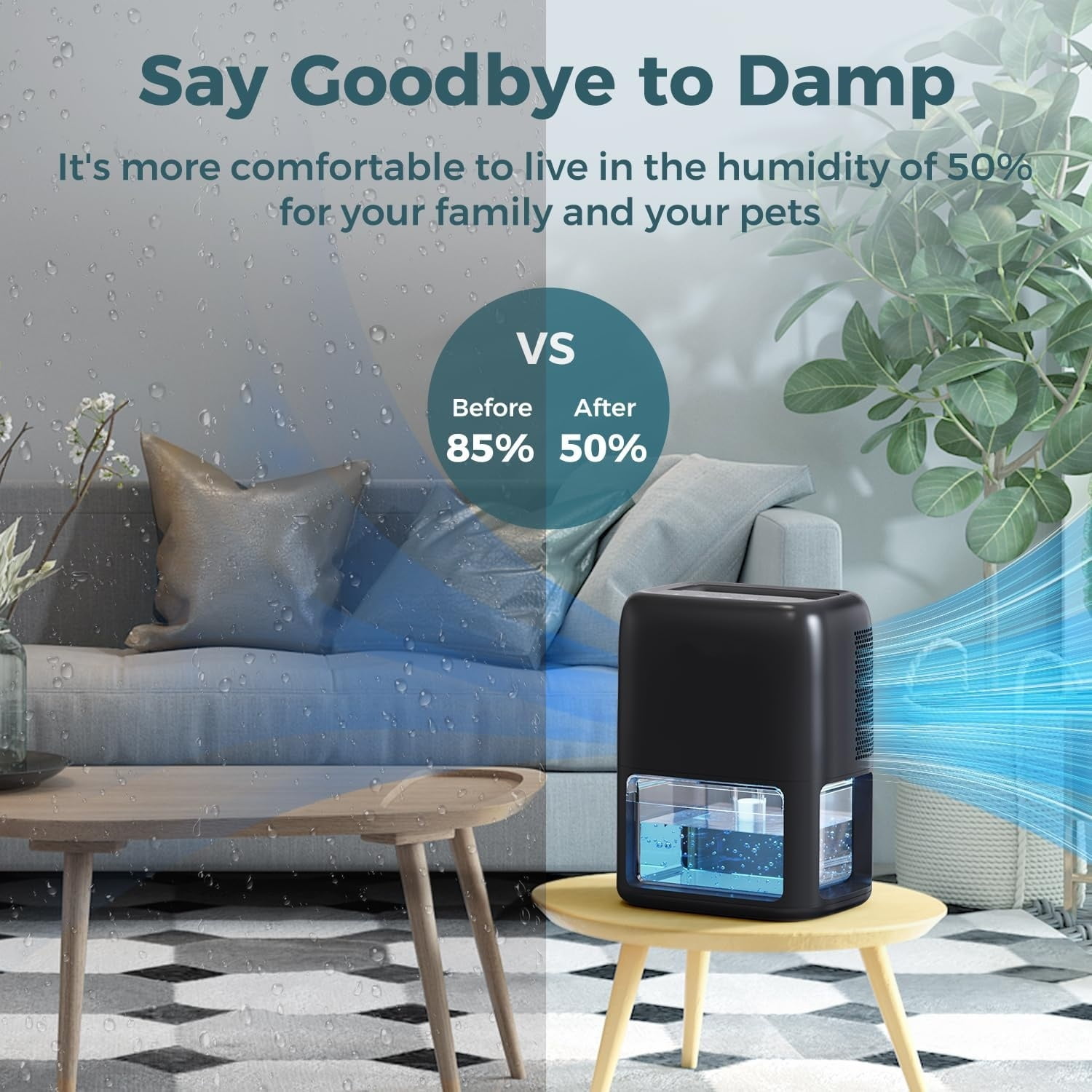 60 OZ Dehumidifiers for Home, Dual-Semiconductor Quiet Dehumidifier with Timer Auto-Off Sleep Mode 7 Colors Light Portable Small Dehumidifiers for Bathroom, Cloakroom, RV, Black