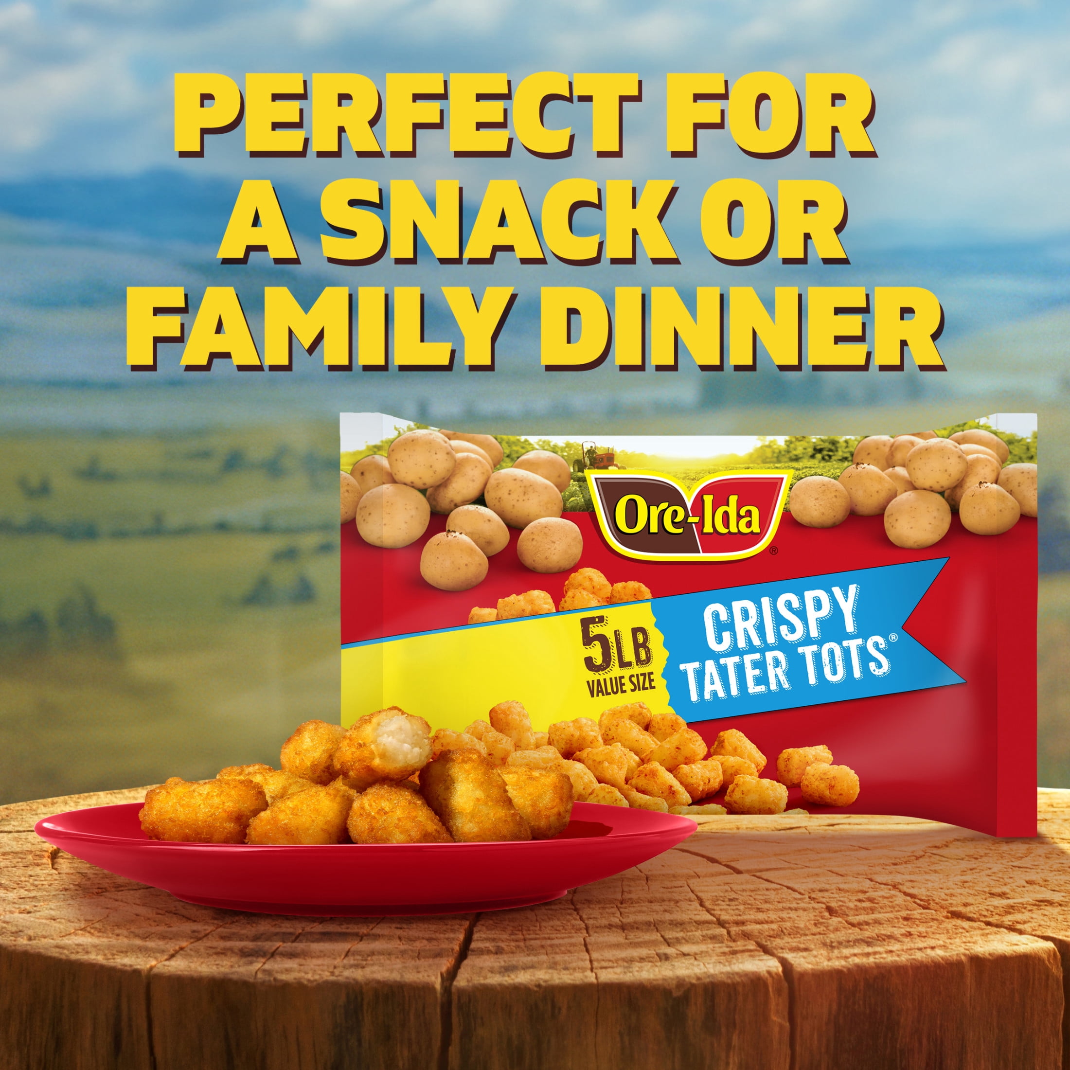 Ore-Ida Crispy Tater Tots Seasoned Shredded Frozen Potatoes, 1 Value Size Bag, for Easy Snacks and Dinner Sides, Gluten-Free, 5 lb