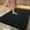 Black, variant on Floce Carpet Bath Mat Absorbent Non-Slip Floor Mat Kitchen Bathroom Rug Microfiber Waterproof Backing Living Room Bedroom Decor Washable Durable Home Decor Mat