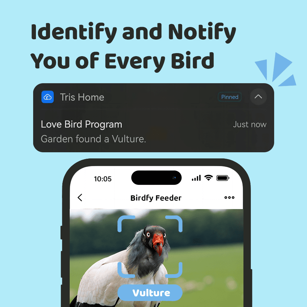 Smart Bird Feeder with Camera Solar Powered, 4K HD, AI Recognition, Instant Arrival Alerts, Motion Sensor, Gift for Bird Lover