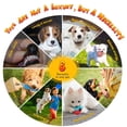 thumbnail image 3 of Juguetes masticables para perros KIPRITII, paquete de 23 unidades, para la dentición de cachorros, con cuerda, 3 of 7