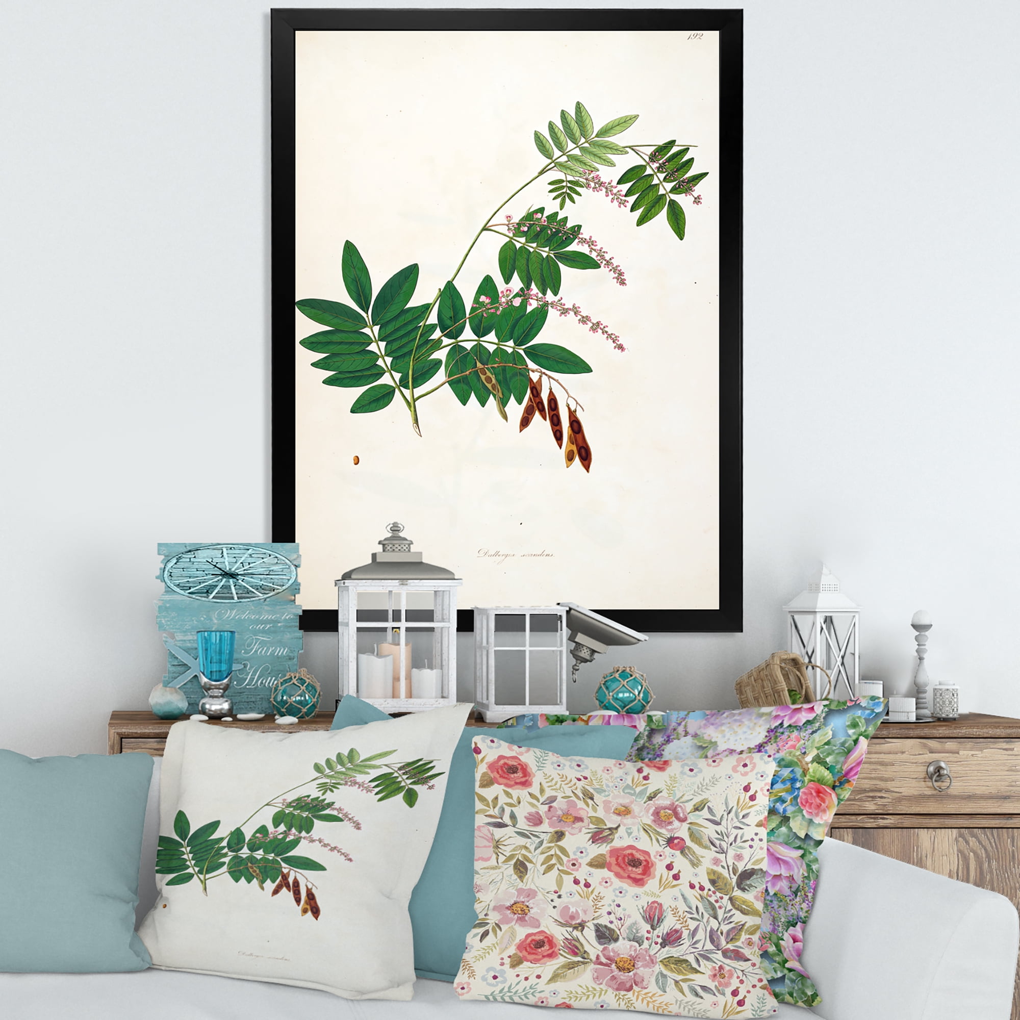 Designart 'Ancient Botanicals XI' Farmhouse Framed Art Print
