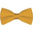 thumbnail image 1 of LAICAIW Nœud Papillon Formel Classique Pré-Noué pour Hommes, Nœud Papillon Ajustable, 1 of 4