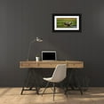 thumbnail image 3 of Doyle, Renee 32x17 Black Ornate Wood Framed with Double Matting Museum Art Print Titled - Dare To Yawn, 3 of 4
