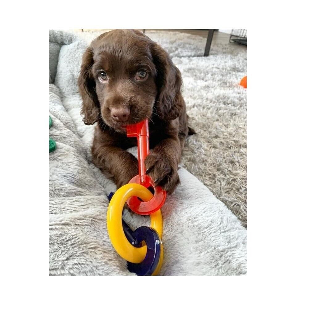 Puppy Teething Keys, Rings or Pacifiers Durable Dog Dental Health Chew Toys (7" Small Teething Keys)
