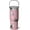 Cat-Blush, variant on Cat Gift for Cat Lover,30 oz Cat Tumbler Stainless Steel Insulated with Handle (Cat-Seaform, 30 oz)