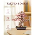 thumbnail image 2 of Puzle de madera 3D Rowood Sakura Bonsai Tree para adultos y niños, 2 of 8