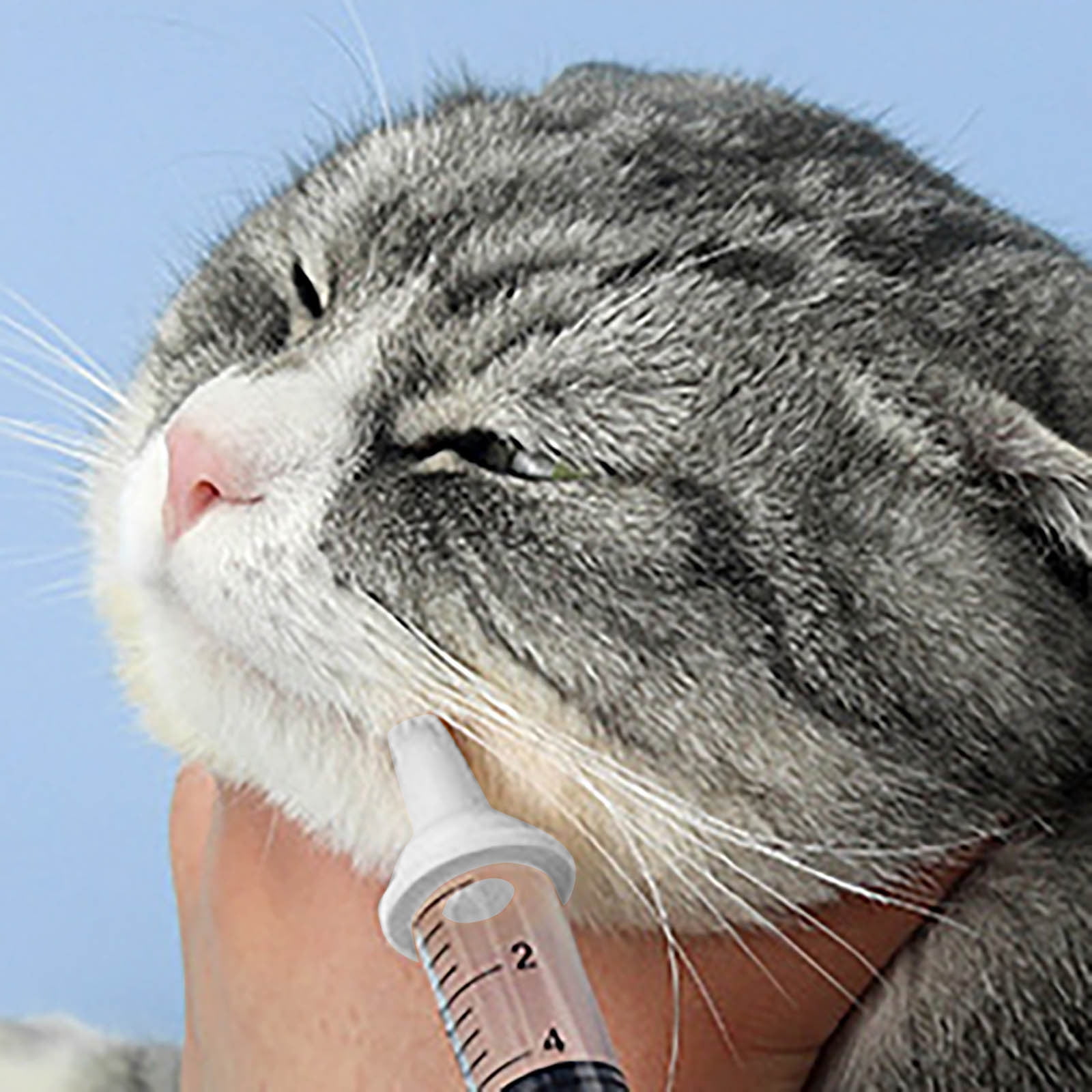 12ml Cat Pill Shooter with Nipple Opening Feeder - Pet Medication Dispenser Syringe for Liquid Food Water and Medicine - Essential Post Operative Care Tool for Kittens Cats at Home or Travel