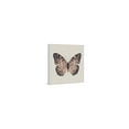 thumbnail image 2 of Marmont Hill Pink and Black Butterfly II Floater Framed Painting Print on Canvas, 2 of 3