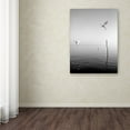 thumbnail image 4 of Trademark Fine Art "Flying" Canvas Art by Moises Levy, 4 of 4