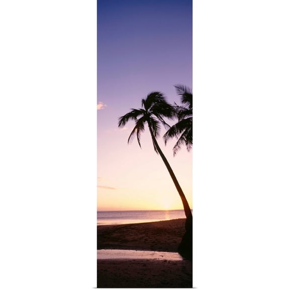 Great BIG Canvas | Rolled Bill Schildge Poster Print entitled Fiji, Palm Trees Silhouetted On Beach At Sunset