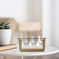 thumbnail image 4 of Desktop Glass Plants Bulb Terrarium with Wooden Stand for Hydroponics Plants home and garden Wedding Decoration Gift - 14x28cm, 4 of 7