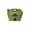typeA, variant on Camping Water Container 2 Gallon Collapsible Water Jug with Spout - Reusable Flasks, Foldable Empty Gallon Jug for Water Storage, Water Bag for Outdoor Hiking Emergency Prep (1 Pack)