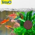 thumbnail image 2 of Tetra Alimento en Gel Tetraweekend, 24 gr, 0.85 oz, 1 Piece Tetra TE77151, 2 of 2