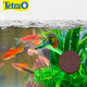 thumbnail image 2 of Tetra Alimento en Gel Tetraweekend, 24 gr, 0.85 oz, 1 Piece Tetra TE77151, 2 of 2