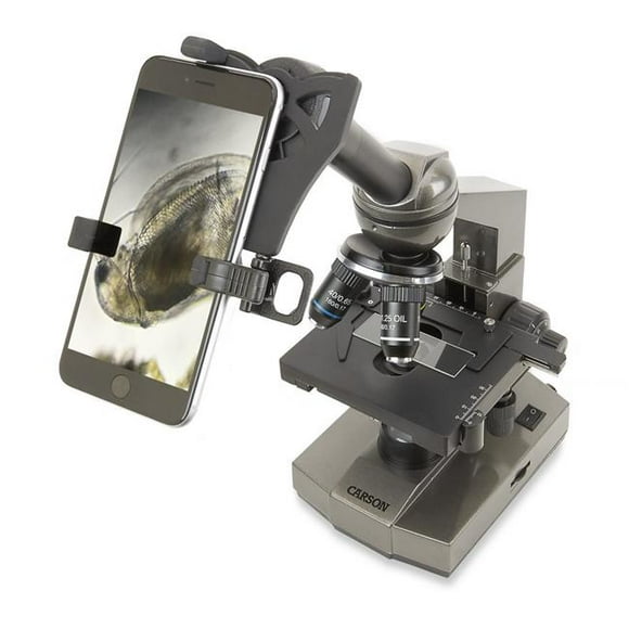 Microscope Composé Étudiant Carson MS-100SP 100x-1000x avec Platine Mécanique et Adaptateur Universel de Digiscopie pour Smartphone