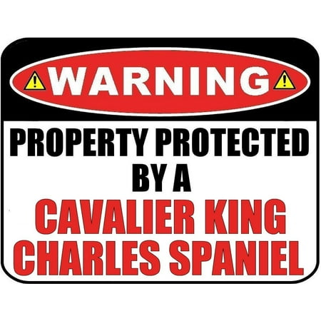 Tri Cavalier King Charles Spaniel - Warning Property Protected by a Cavalier King Charles Spaniel 9 inch x 11.5 inch Laminated Dog Sign