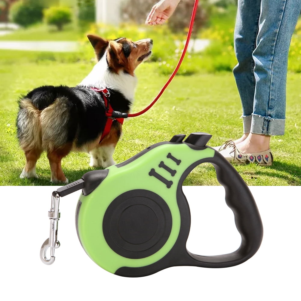 walking dog on lead