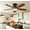 Brown, variant on PHORUS 41in Ceiling Fan with Lights Modern Fan Light with Remote RGB LED 5 Blade Brown for Bedroom Living Room