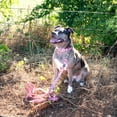 thumbnail image 2 of Country Brook Petz® Premium Pink Waterfowl Camo Dog Collar and Leash, Large, 2 of 7