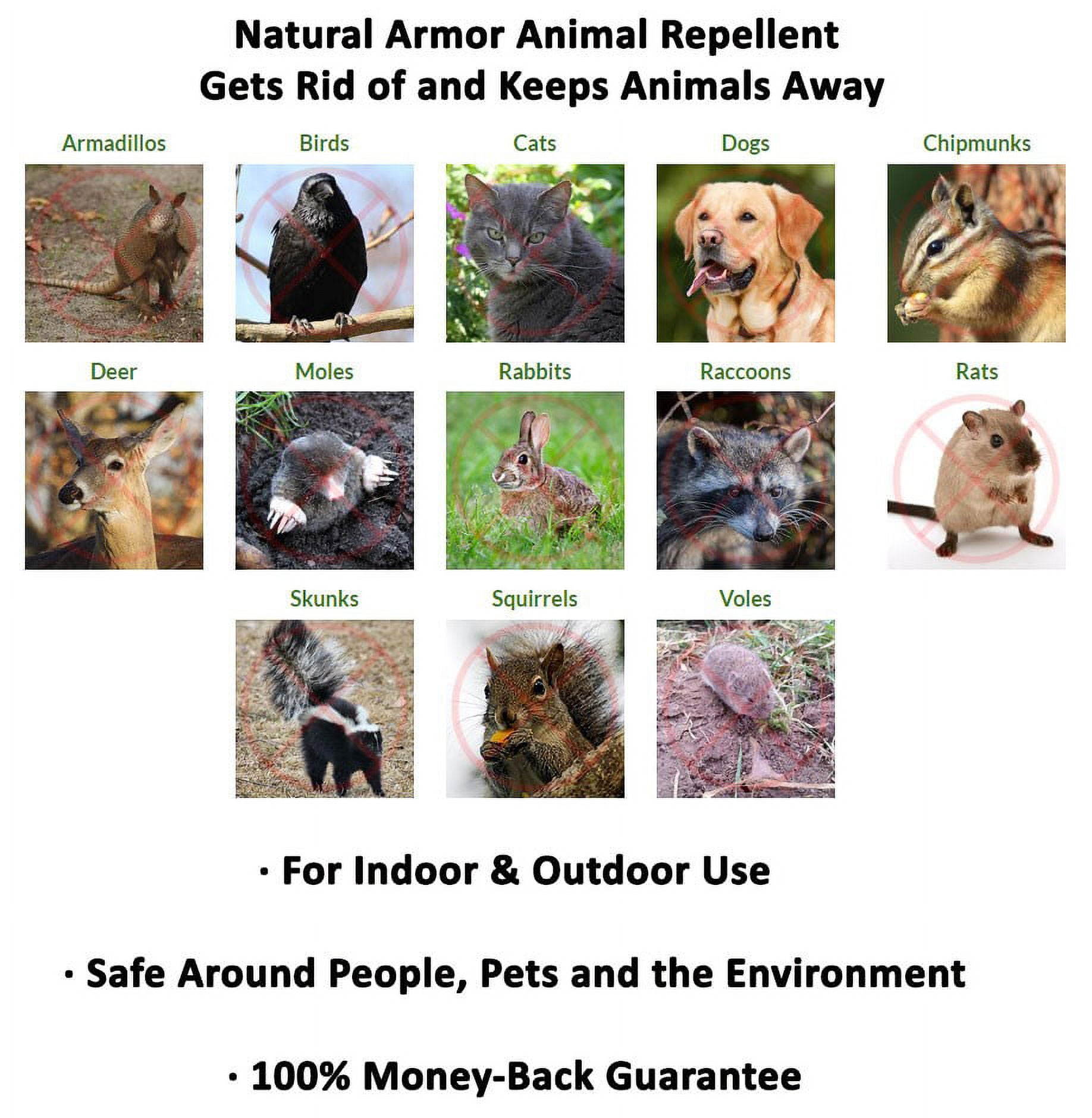 Natural Armor Peppermint Scent Gallon Ready to Use All Natural Animal Repellent Spray (128 oz. Gallon)