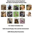 thumbnail image 3 of Natural Armor Peppermint Scent Gallon Ready to Use All Natural Animal Repellent Spray (128 oz. Gallon), 3 of 6