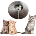 thumbnail image 3 of Rascador de Gato Brillar Electrónica, 3 of 5