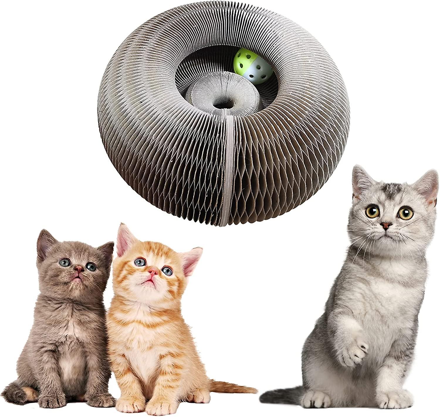 Griffoir Magic Organ Pour Chat – 5 En 1 Avec Balle à Grelot | Tunnel, Cachette, Aire De Jeu | Carton Recyclable
