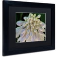 thumbnail image 2 of Trademark Fine Art "Hosta Flower Abstract" Canvas Art by Kurt Shaffer Black Matte, Black Frame, 2 of 4