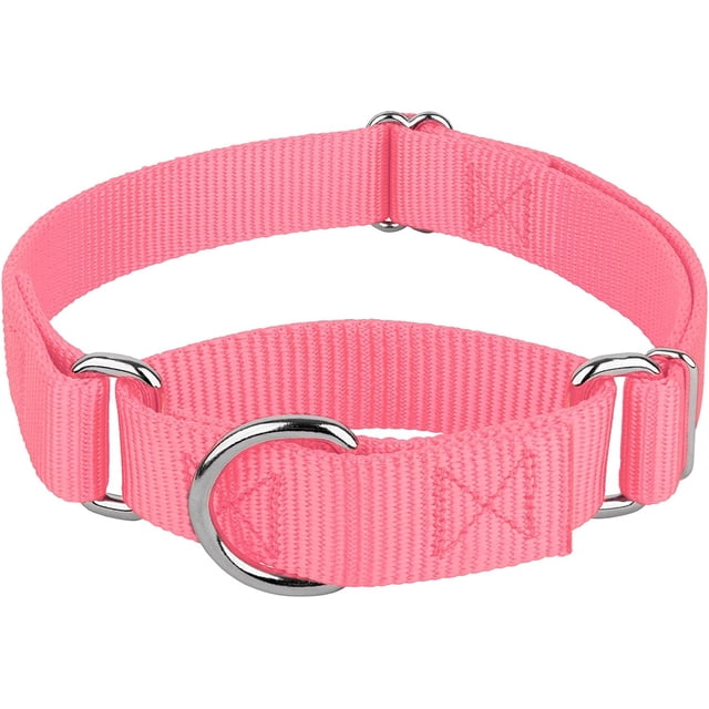 Country Brook Petz Martingale Dog Collar - Heavy-Duty Training Collar with No Buckle - Service Dog Collar for All Pups - Vibrant, Colorful Collection (Pink, 3/4 Inch, Small)