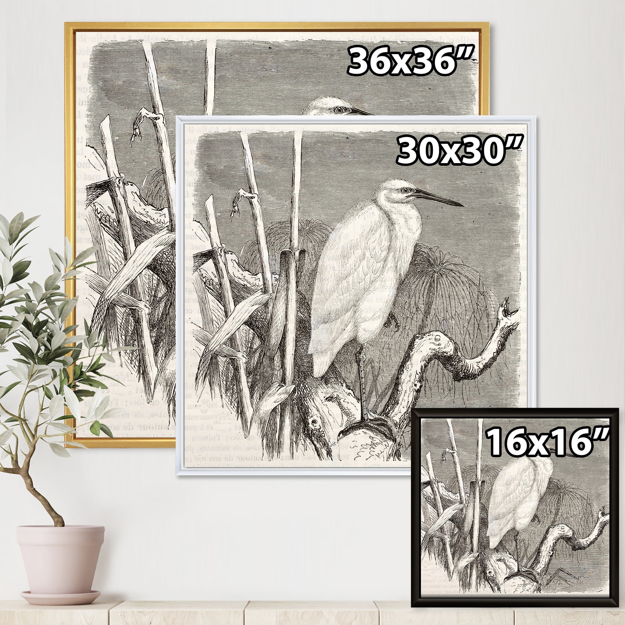 Little Egret Bird in Monochrome 16 in x 16 in Framed Painting Canvas Art Print, by Designart