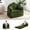 Green, variant on BYBYME Folding Sofa Bed,2-in-1 Convertible Sofa,Plush Bean Bag Chair with Armrests,Floor Sofa Suitable for Adults,Suitable for Bedrooms and Living Rooms,Green
