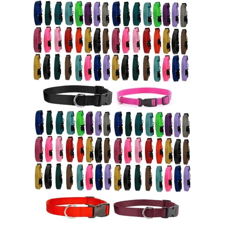 Dog Collar Shelter Rescue Vet Bulk Pack 100 Assorted Color Adjustable Pick Size (Small - 10 to 16 Inch)