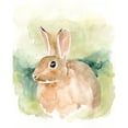 thumbnail image 3 of Barnes, Victoria 20x24 Black Modern Framed Museum Art Print Titled - Field Bunny II, 3 of 5