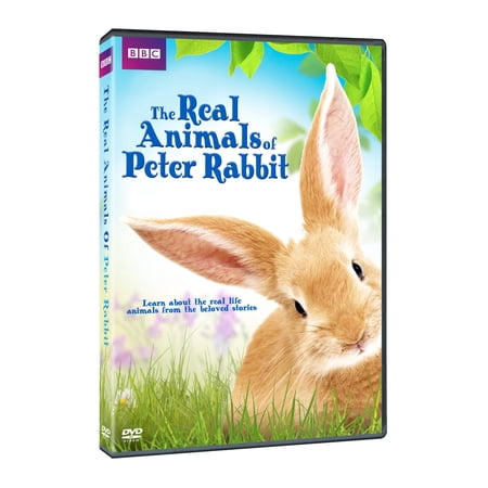 UPC 883929621750 product image for Real Animals of Peter Rabbit  The [DVD] | upcitemdb.com