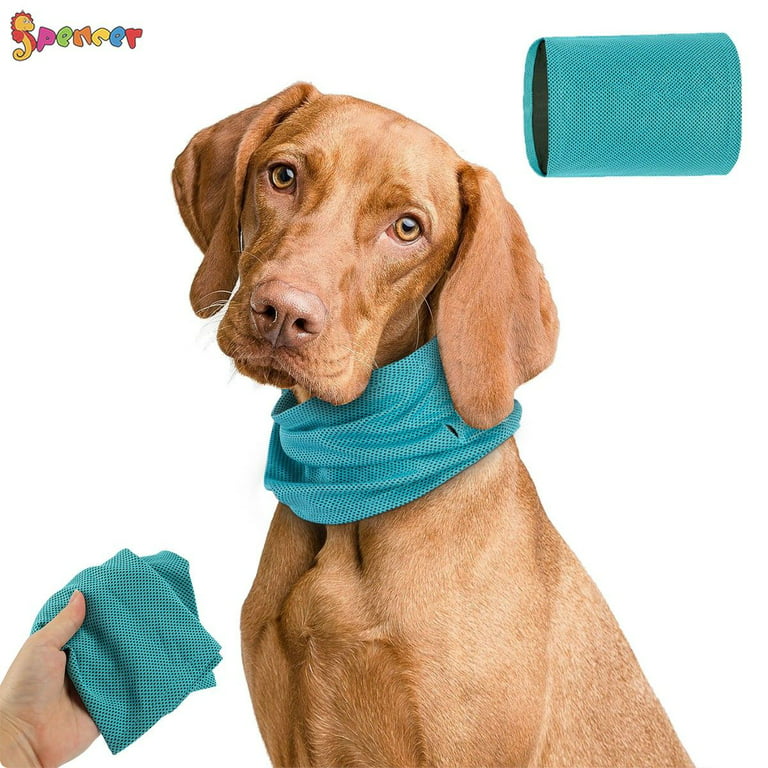 Small Cooling Dog Collar