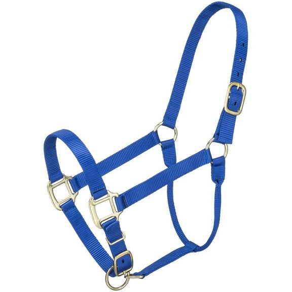 PREMIUM POLY HALTER LRG HORSE