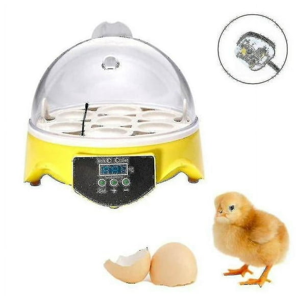 Automatic Poultry 7 Pcs Eggs Incubator Temperature Control Poultry Bird Chicken Hatcher