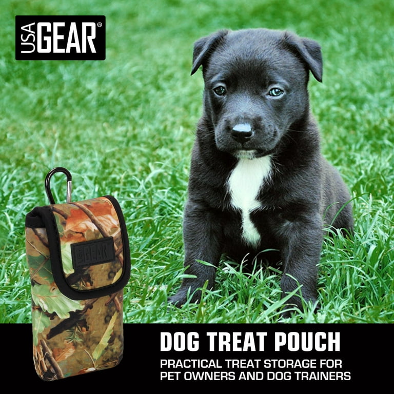 Protective Gear for Your Dog