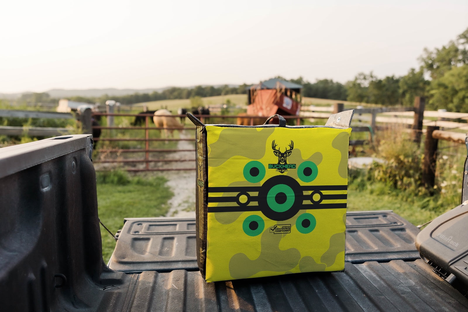 Buckhead Field Point Archery Target