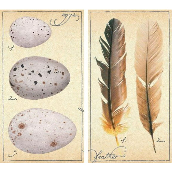 HomArt Large Decorative Fine Feathers Matches