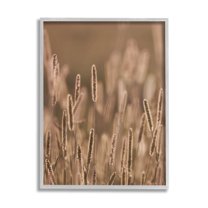 Rural Wheat Field Nature Botanical & Floral Photograph Gray Framed Art Print Wall Art