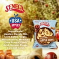 thumbnail image 2 of Seneca Caramel Apple Chips | Made from Fresh Apples | 100% Red Delicious Apples | Yakima Valley Orchards | Crisped Apple, 24 Bags, 2 of 5